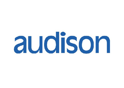 We stock and fit Audison